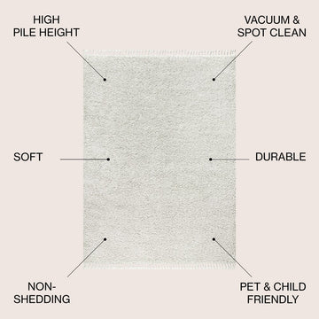 Mercer Shag Plush Tassel Area Rug